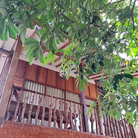 Diana'S Homestay บันยูวังงี ภายนอก รูปภาพ