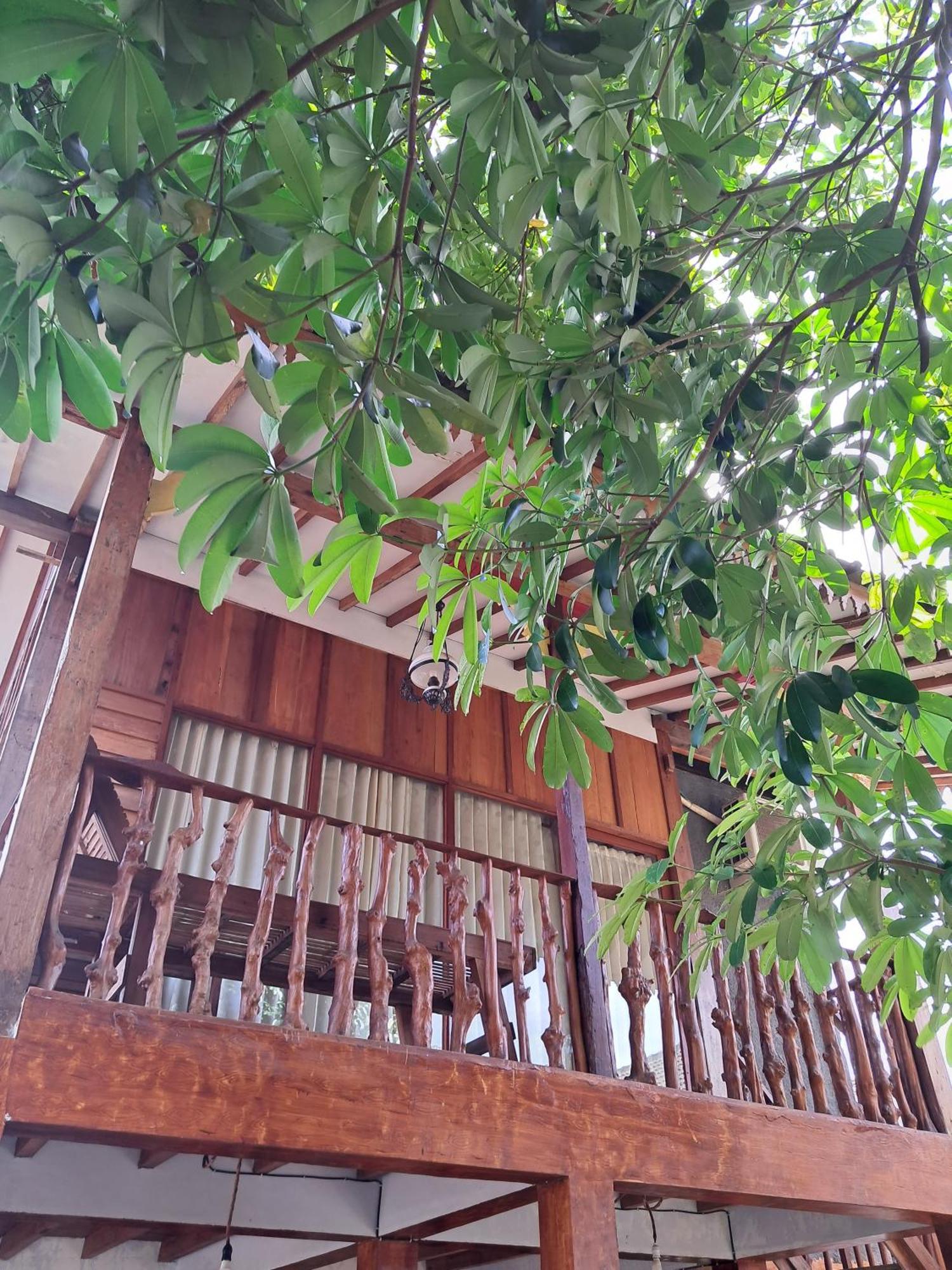 Diana'S Homestay บันยูวังงี ภายนอก รูปภาพ